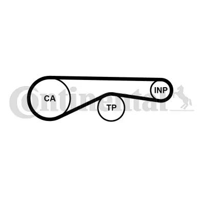 Timing Belt